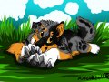 pieska_c8_by_mazakdupa-d5u0t99.jpg